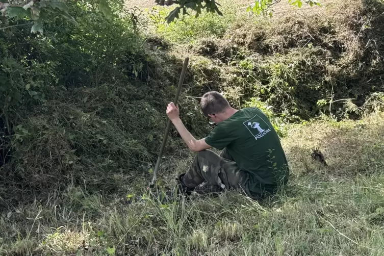 Biotop-Pflege auf einer Pollichia-Fl&auml;che: Der Verein schaut zun&auml;chst, welche Pflanzen und Tiere auf dem jeweiligen Grundst&uuml;ck vo