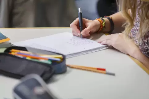 Die Verbandsgemeinde Leiningerland rechnet im kommenden Jahr mit mehr Schülern, die das Angebot der Betreuenden Grundschulen nut
