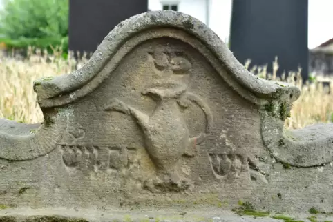 Thema ist auch der jüdische Friedhof in Wachenheim. 