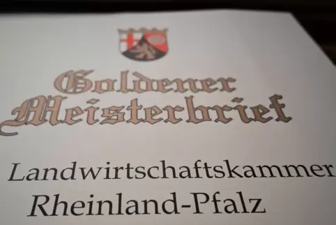 So sieht der Goldene Meisterbrief aus.