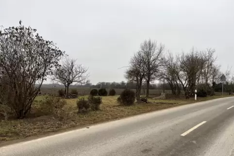 Der gereinigte Ortseingang. 