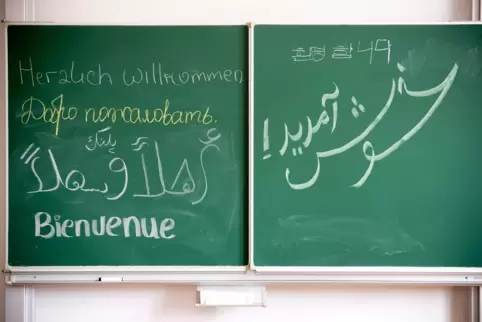„Es gibt im Rhein-Pfalz-Kreis bislang kein professionelles Integrationsmanagement“, kritisiert der Waldseer Mohammad Ahmadian.