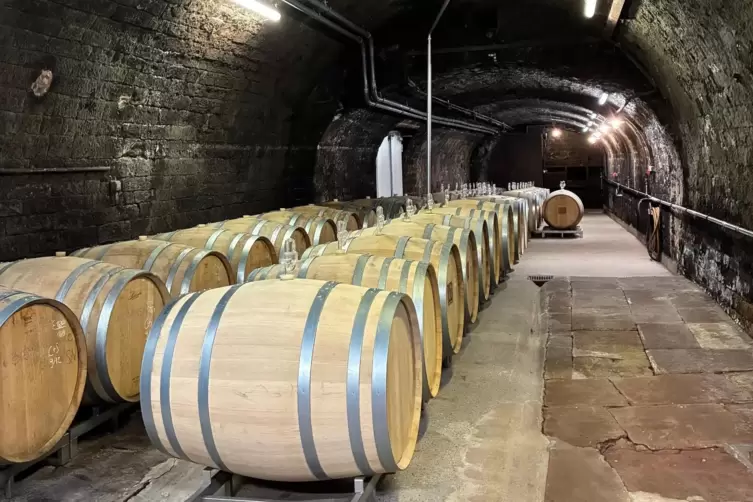 In Reih und Glied: 500-Liter-Holzf&auml;sser aus franz&ouml;sischer Eiche im Winzerkeller. 