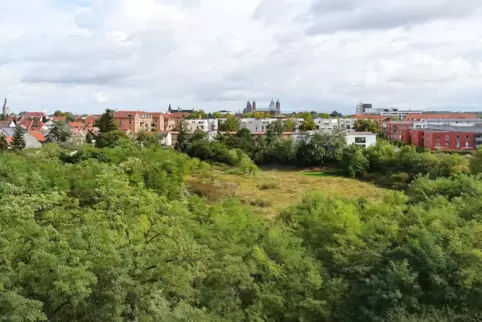 Heute „naturbelassen“: Fläche am Rand der früheren Normand-Kaserne in Speyer-Süd, auf der gebaut werden soll. Heute „naturbelassen“: Fläche am Rand der früheren Normand-Kaserne in Speyer-Süd, auf der gebaut werden soll.