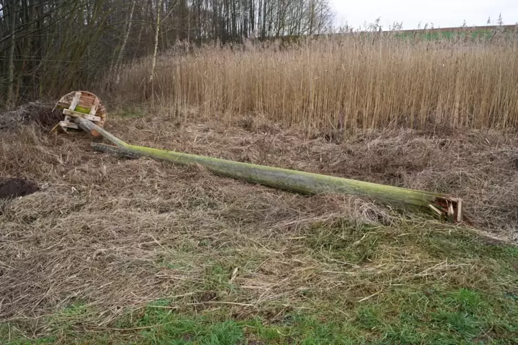 Der Mast samt Storchennest bei Erzenhausen war umgest&uuml;rzt. 
