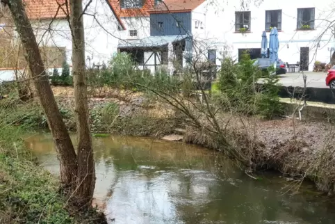 Die Gefahren, die Hochwasser und Starkregen mit sich bringen, sollen in der Verbandsgemeinde Waldfischbach-Burgalben durch insge