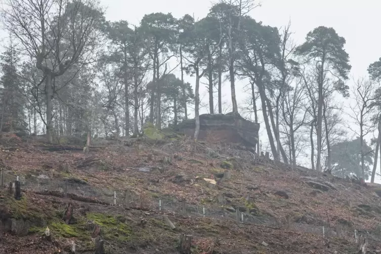 Was vorher hinter B&auml;umen verborgen war, ist nun zu sehen, etwa dieser Fels auf dem Bergr&uuml;cken. 