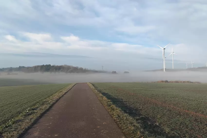 Der Windpark bei Wahnwegen – und dazu ein bisschen Nebel. Die Aufnahme stammt von Hasso Morgenstern.