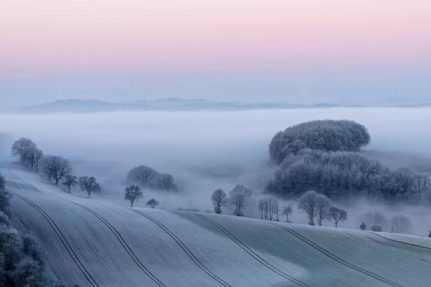 Ein frostiger Morgen bei Neunkirchen am Potzberg, festgehalten von Markus Eberl