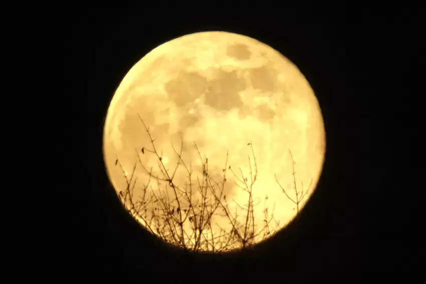 Der erste Vollmond des Jahres wird auch Wolfsmond genannt. Fotografiert hat ihn Oliver Lang aus Nanzdietschweiler.