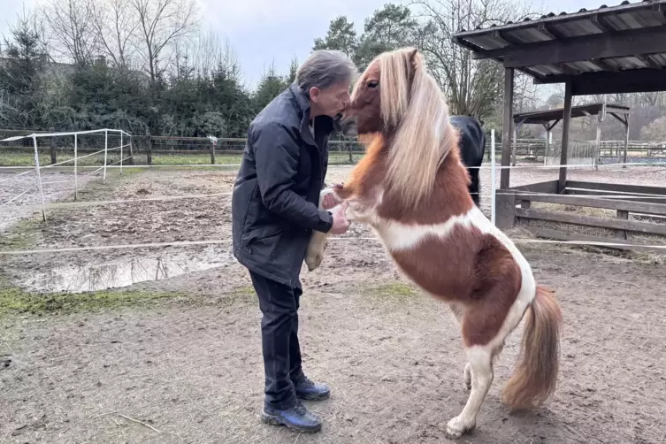 Michael Weil und Pony Maya haben eine sehr enge Beziehung zueinander. 