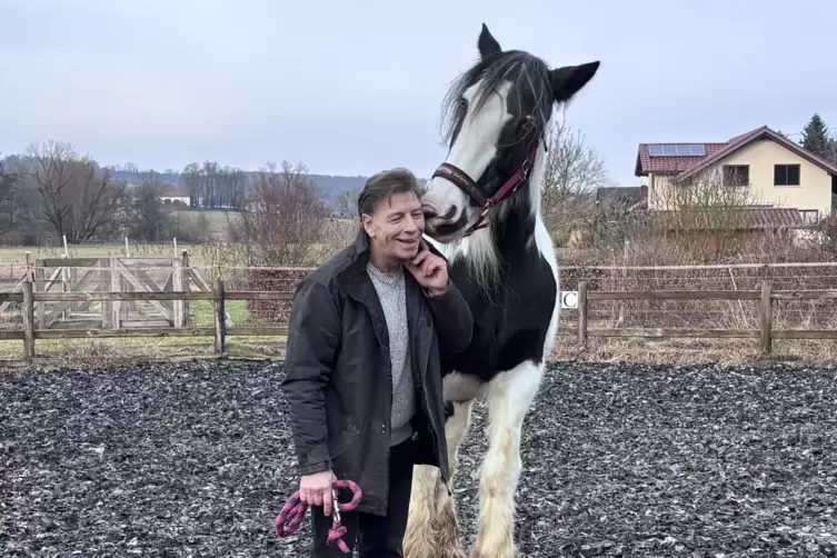 Stute Donna gibt K&uuml;sschen. 