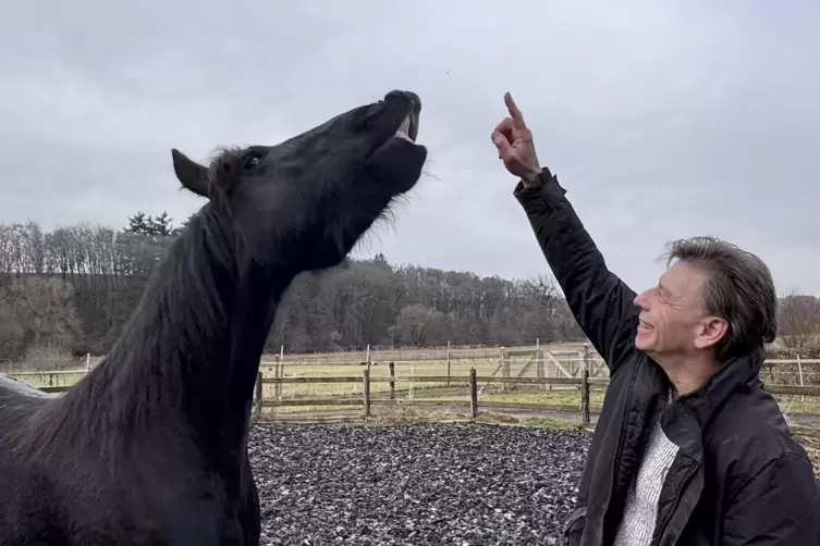 Bitte l&auml;cheln. Ramiro zeigt brav die Z&auml;hne. Diese &Uuml;bung ist praktisch bei der Zahnpflege, sagt Pferdetrainer Michael Weil. 