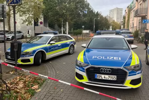  Ein Reizgasangriff löst einen Polizeieinsatz an der Karolina-Burger-Realschule in LU aus.