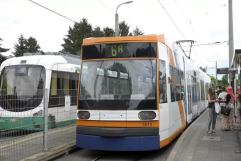Bisher fährt die Linie 6 durch Mundenheim. Mit der geplanten Pfalztram soll eine neue Tram-Linie durch den Stadtteil führen. 