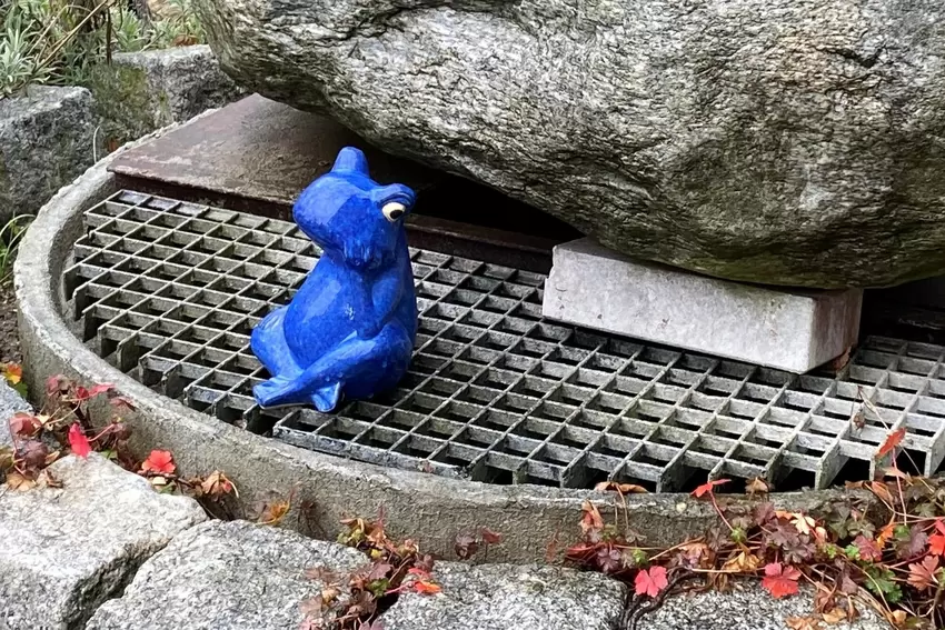 Kritischer Blick: der blaue Keramikfrosch vor dem Eingang.