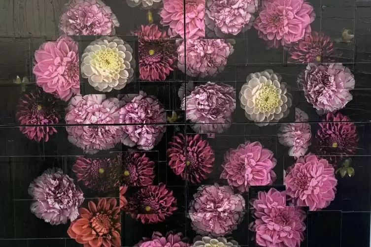 Fast zu sch&ouml;n, um wahr zu sein. Copy Collage von Andrea Esswein. Sie ist in Germersheim geboren. 