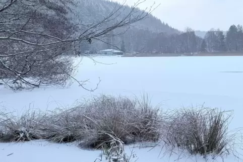 Der zugefrorene und Schneebedeckte Gelterswoog.