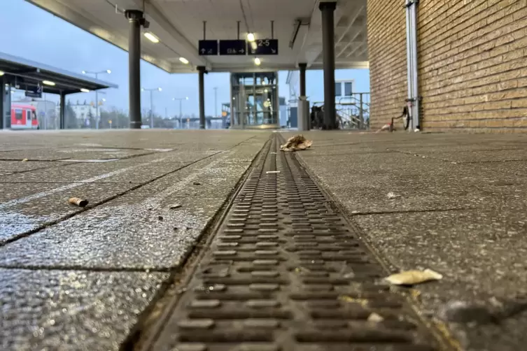 Speziell herumliegende Zigaretten geh&ouml;ren zu den &Auml;rgernissen am Landauer Bahnhof.