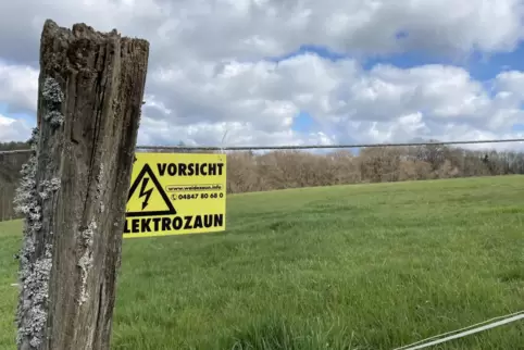 Das Neubaugebiet in Reifenberg. 