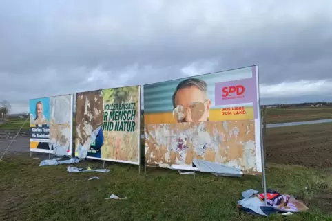 Ausgeschnittene Augen, abgerissene Porträts der Spitzenkandidaten: Zerstörte Wahlwerbung in Bobenheim-Roxheim. 