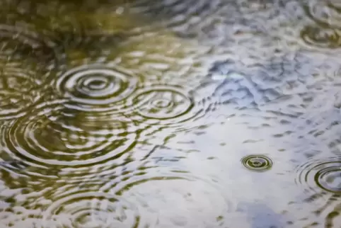 Auch in den kommenden Tagen sollte man nicht ohne Regenschirm aus dem Haus gehen.