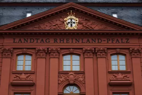 Wer künftig im Mainzer Landtag sitzt, entscheidet sich am 22. März. 