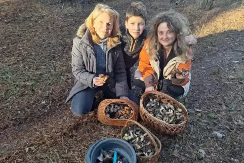 Ein seltener Moment des Friedens: Oksana Titarenko (links) beim Pilzesammeln mit Sohn Makar und einer Freundin.