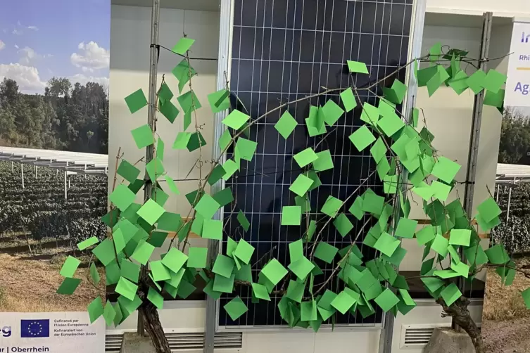 Mit einer kleinen Bastelei zeigten die DLR-Mitarbeiter, wie die PV-Module in die Weinberge integriert werden k&ouml;nnen.