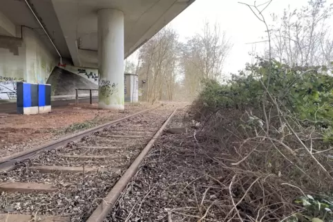 Unter der Brücke über die Autobahn 8 zwischen Schwarzenacker und Wörschweiler wurden die Gleise bereits freigeschnitten. Unter der Brücke über die Autobahn 8 zwischen Schwarzenacker und Wörschweiler wurden die Gleise bereits freigeschnitten.