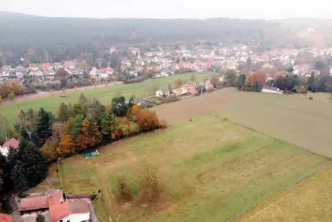 Auf dieser Fläche in Altleiningen soll Platz für rund 80 Neubauten geschaffen werden. 