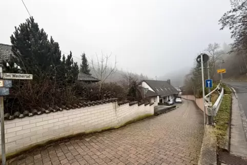 Hier im Weihertal im Altleininger Ortsteil Höningen soll ein Einfamilienhaus nach dem neuen Bau-Turbo errichtet werden.