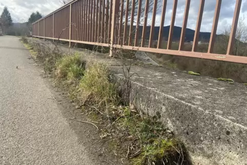 Zugewuchert: die Fahrbahnränder auf der Brücke über die B38 zwischen Mußbach und Böbig. 