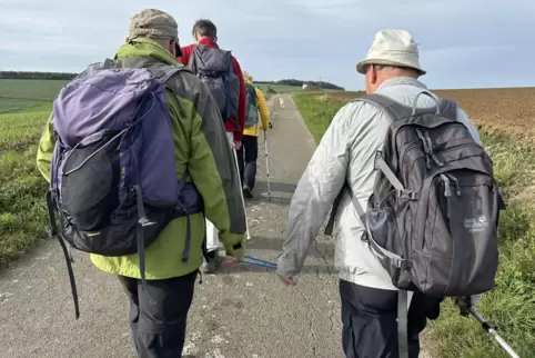 Durch eine Kordel sind der Sehbehinderte und sein Begleiter beim Wandern verbunden. Das Foto stammt von einer Tour bei Kandel. 