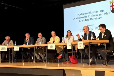 Podiumsdiskussion mit den Direktkandidaten zur Landtagswahl im Weinstraßencenter Grünstadt, von links: Nikolaus Leendertz (Grüne