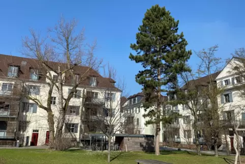 Eine BASF-Siedlung mit großer Tradition: die Hohenzollernhöfe in Friesenheim.