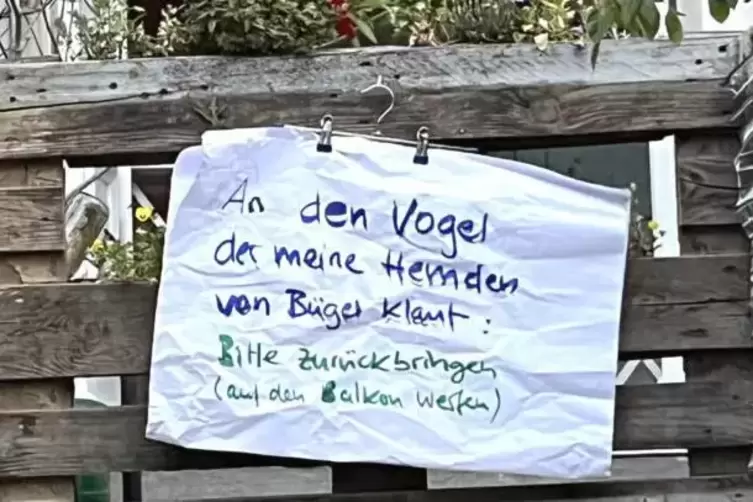 Bei diesem Diebstahl platzt einem der Kragen.