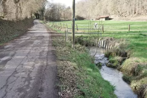 Ein Wunsch des Mittelbacher Ortsbeirats: Die Kirchentalstraße zum Rechentalerhof hat schon lange eine Sanierung nötig. Ein Wunsch des Mittelbacher Ortsbeirats: Die Kirchentalstraße zum Rechentalerhof hat schon lange eine Sanierung nötig.