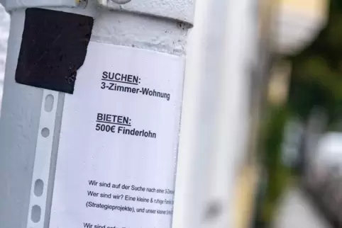 Der Wohnungsmarkt ist überhitzt, die Preise steigen, die Konkurrenz wächst. Was bleibt, ist die Verzweiflung. Der Wohnungsmarkt ist überhitzt, die Preise steigen, die Konkurrenz wächst. Was bleibt, ist die Verzweiflung.