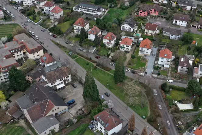 Blick auf die »Grüne Insel« an der Weinstraße. Hier soll der Bäckerei-Pavillon mit öffentlichen Toiletten realisiert werden. Die Blick auf die »Grüne Insel« an der Weinstraße. Hier soll der Bäckerei-Pavillon mit öffentlichen Toiletten realisiert werden. Die