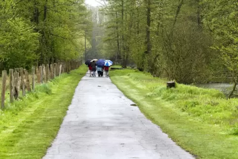 Der Radweg im Freizeitgebiet wird für drei Tage gesperrt. 