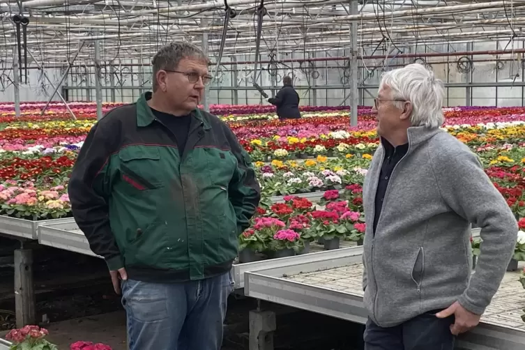 Beratung vor Ort: Pionierarbeit fr den biologischen Pflanzenschutz -  Herxheim - DIE RHEINPFALZ