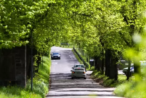 Die Fasaneriestraße soll für 1,2 Millionen Euro abgefräst und neu asphaltiert werden. Die Fasanerie soll während der Bauzeit err