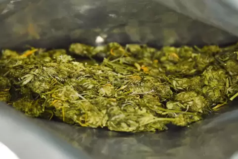 Marihuana. Dieses Symbolfoto wurde bei einer Kontrolle im Jahr 2019 aufgenommen.