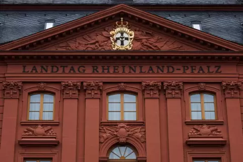 Der Einzug in den Mainzer Landtag: Das gemeinsame Ziel der vier Kandidaten. Der Einzug in den Mainzer Landtag: Das gemeinsame Ziel der vier Kandidaten.