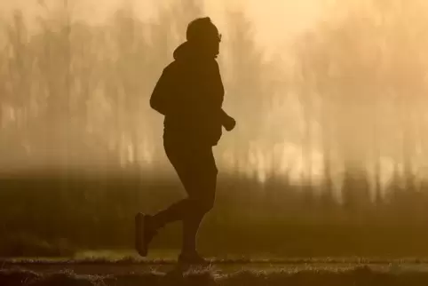 Der Jogger war auf dem Closweg zwischen Berghausen und Speyer unterwegs. 