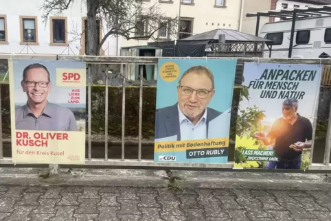 Zwischen 1200 und 1400 Plakate haben die CDU und die SPD jeweils im Landkreis verteilt, die Grünen deutlich weniger. 