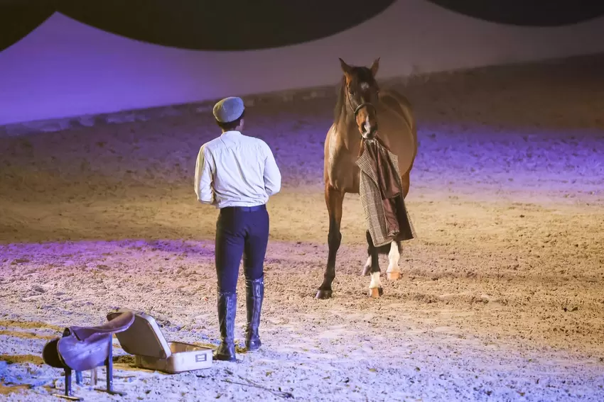 Wie verreise ich mit einem Pferd? Die Compagnie Impulsion beantwortete die Frage in einer lustigen Schaunummer.