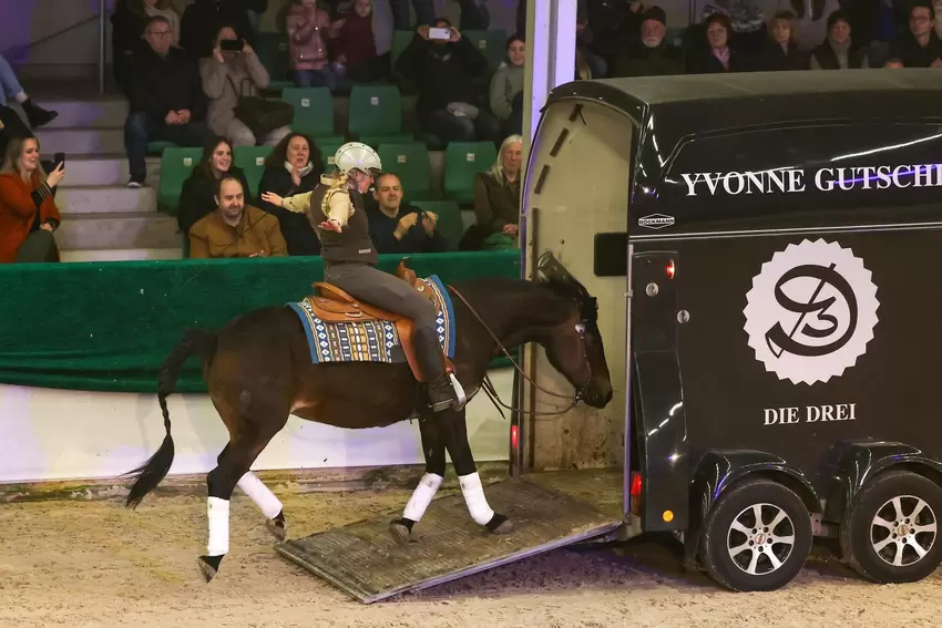 Die beeindruckendste Vorführung der Gala: Yvonne Gutsche reitet mit ihrer Stute Bailey in einen fahrenden Pferdeanhänger.