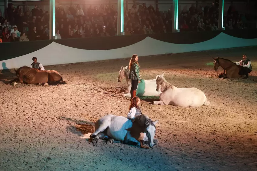Ein schönes Schaubild der Compagnie Impulsion.